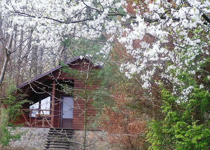 Dubky Hotel 2*